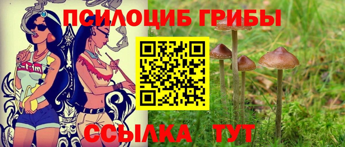 Галлюциногенные грибы мухоморы Заводоуковск